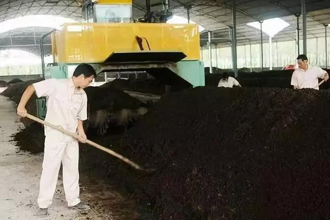 禽糞有機肥生產(chǎn)國家補貼對象、申報條件、流程、考核(圖1) 有機肥翻拋現(xiàn)場